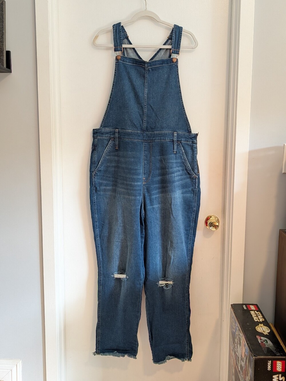 Madewell Roadtripper Jean Overalls 2x